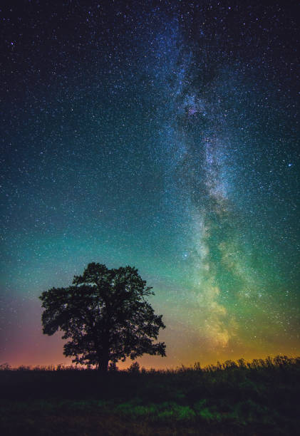 istock Night landscape with colorful Milky Way and an Oak tree 1426305492