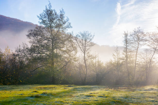 istock foggy carpathian landscape in morning light 1426306302