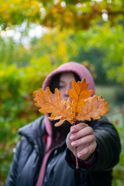 istock Woman holding oak leaf in autumn 1426317249