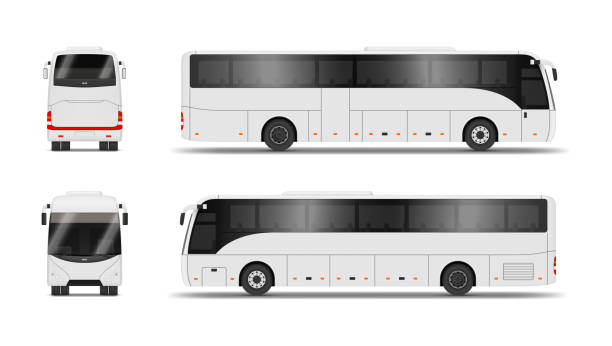 White scheduled bus front back side view set realistic vector illustration public transport White scheduled bus front back side view set realistic vector illustration. Urban intercity public transport for passenger transportation. Express municipal vehicle city travel with wheels and windows train vehicle front view stock illustrations
