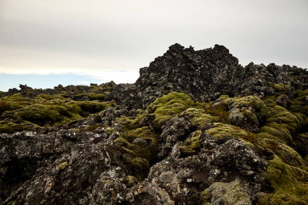 Lava fields everywhere you look in Eldhraun, Iceland