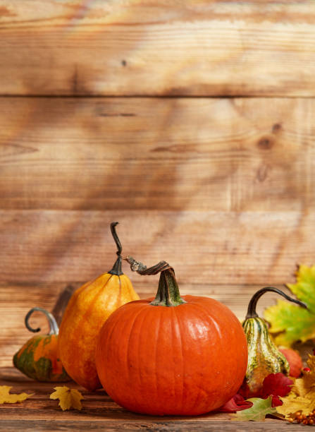 istock Pumpkins on wooden background 1426329347