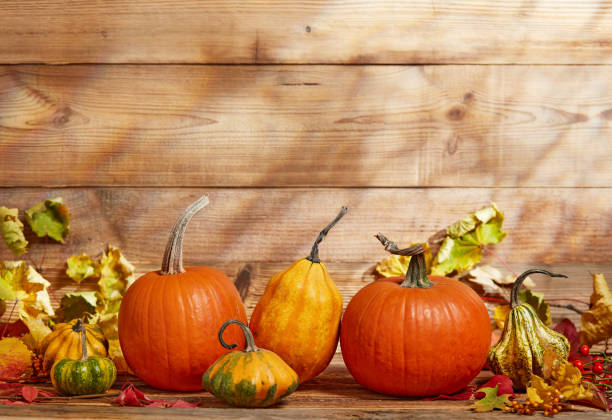 istock Pumpkins for Thanksgiving on wooden background 1426329349