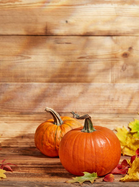 istock Orange autumn pumpkins 1426329354
