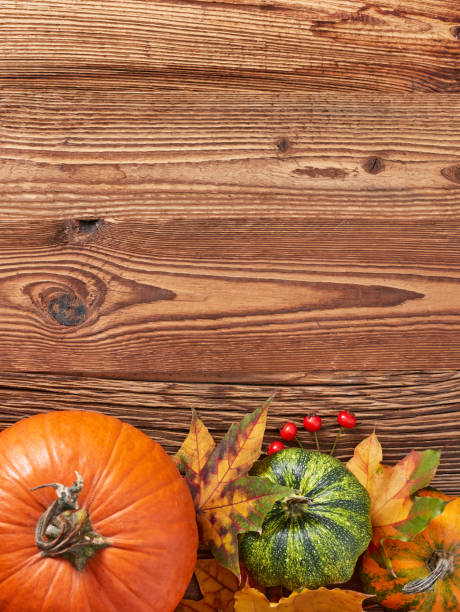 istock Autumn pumpkin arrangement on a wood background 1426329419