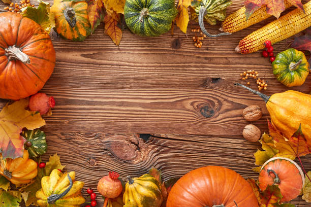 istock Thanksgiving background,  autumn harvest concept 1426329429