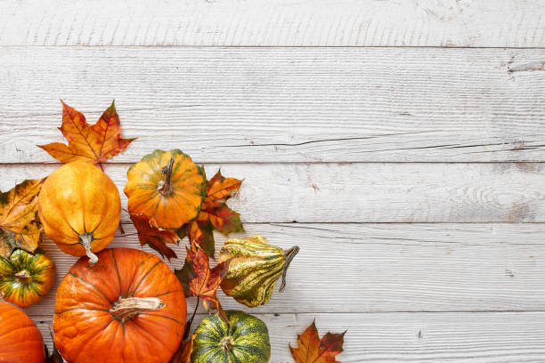 istock Pumpkins and leaves on white wooden floor 1426329480