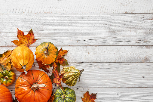 Pumpkins and leaves on white wooden floor