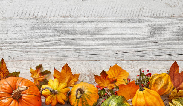 istock Thanksgiving pumpkins and leaves frame arrangement 1426329586