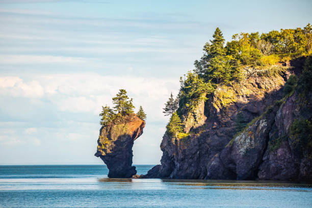 캐나다의 경치 좋은 quaco head rock fundy bay biosphere reserve - bay of fundy 뉴스 사진 이미지