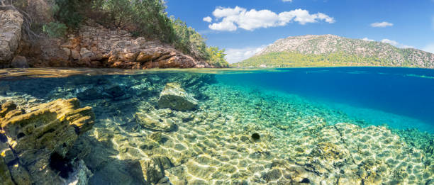 istock Split view - half underwater view of beautiful seabed and rocky coastline with pine trees, Turkey, Bodrum. 1426335419