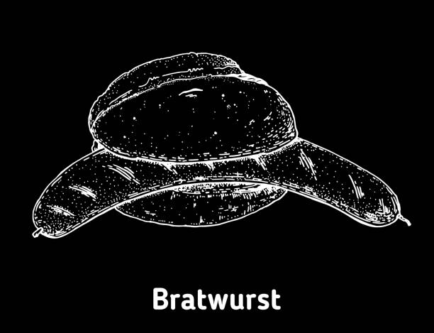 немецкая иллюстрация вектора, нарисованная вручную. винтажный элемент дизайна. иллюстрация эскиза немецкой кухни. - meat bratwurst sausage sauerkraut stock illustrations