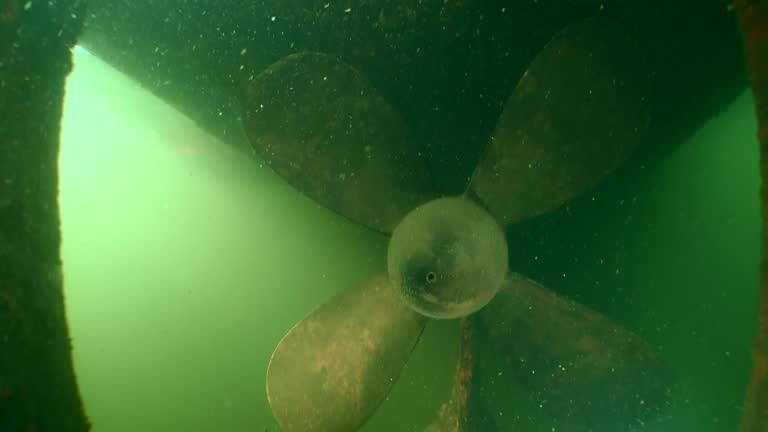 Underwater part of the vessel covered by the Zebra Mussel.