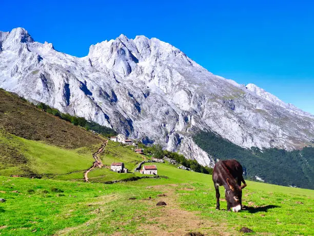 La Terenosa sheepfold in the way to Naranjo de Bulnes peak, Picos de Europa National Park and Biosphere Reserve, Leon and Asturias province, Spain