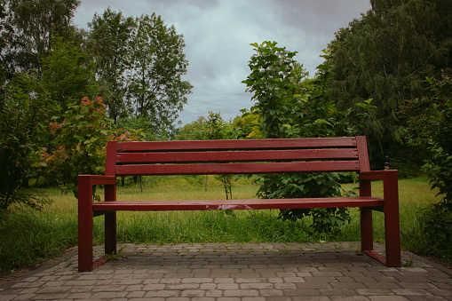 Wet bench in park on a rainy day