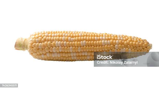 Corn Yellow Rectangle Yellow Corn Isolated On White Background Copyspace Stock Photo ...