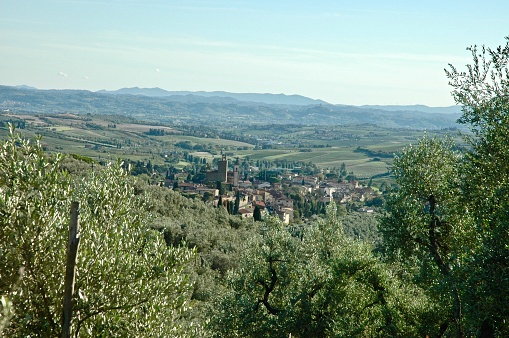 Territory of the province of Florence