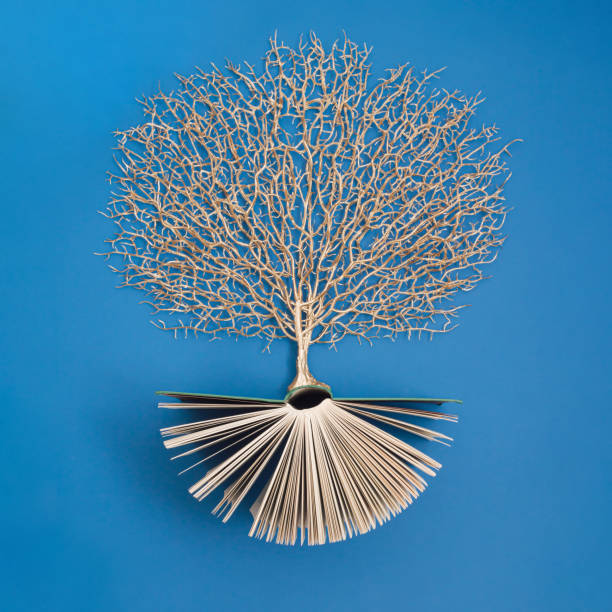 istock Golden tree growing from the old book, Education and knowledge concept. For book lovers. Flat lay. 1426351184