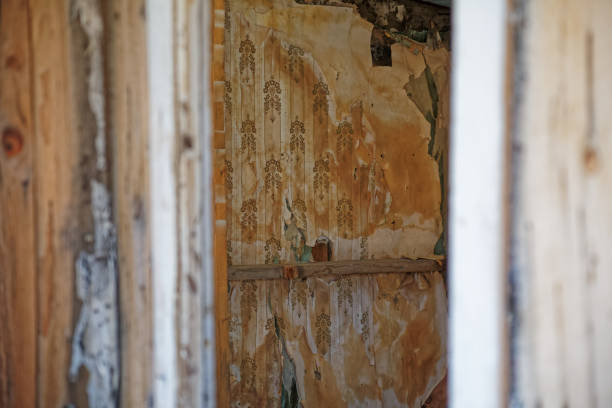 istock Decaying wallpaper in an abandoned building at Bodie State Historic Park 1426353975