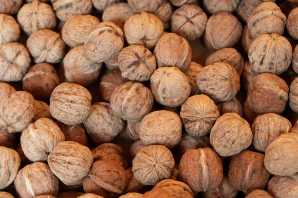 istock Texture with lots of walnuts, all lying next to each other with their shell still on. 1426355701