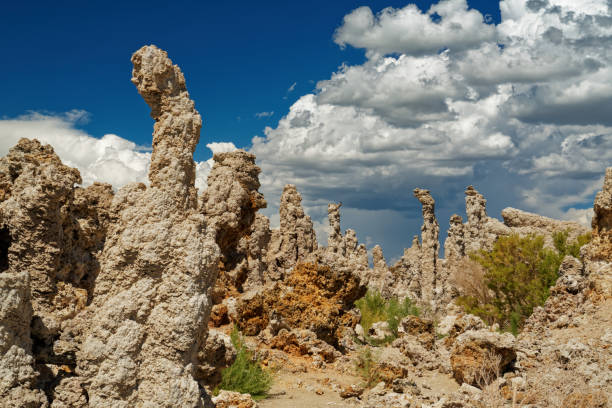 istock Unusual rock formations in Mono Lake. 1426358284