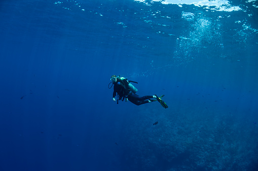 Beauty freediver lady with fins glides underwater with fishes in transparent blue ocean