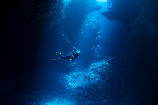 Underwater shot of the lady free diver ascending along the vivid coral reefs. Red Sea, Egypt