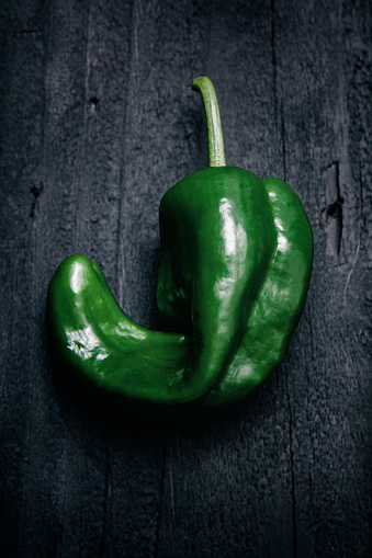 A ripe freshly harvested poblano chili pepper stands in stark contrast to a dark black wood background.  Fresh nutritious organic food.