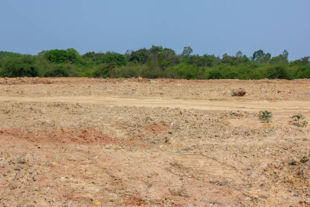 istock Empty dry cracked swamp reclamation soil, land plot for housing construction project with car tire print in rural area and beautiful blue sky with fresh air Land for sales landscape concept 1426374625