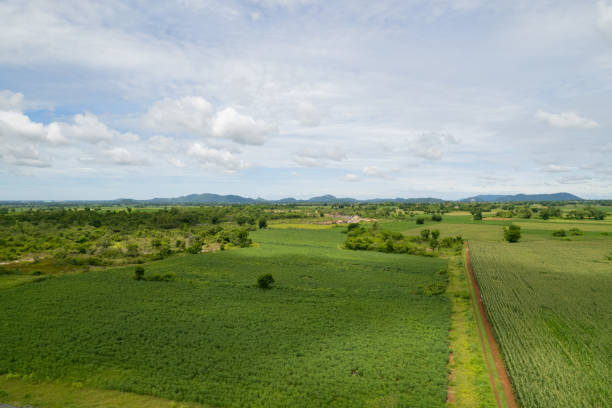 istock high angle view of farm, grow plants, nice landscape 1426381328