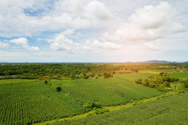 istock high angle view of farm, grow plants, nice landscape 1426381464