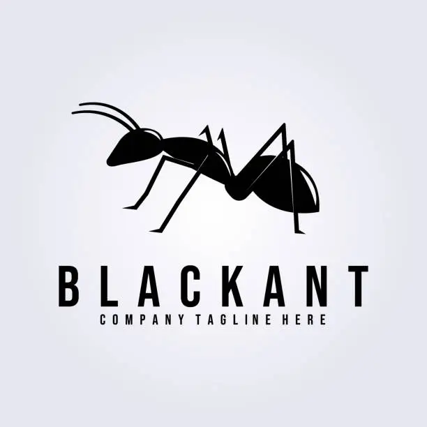 Vector illustration of ant  vector illustration design, black ant