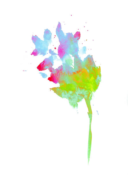 istock colorful beautiful watercolor flower on a white background 1426391830