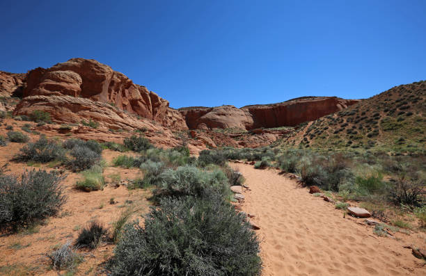 istock Trail to the slot canyon 1426398366