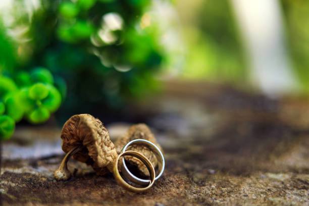 Wedding Rings , Love , Ring Jewelry