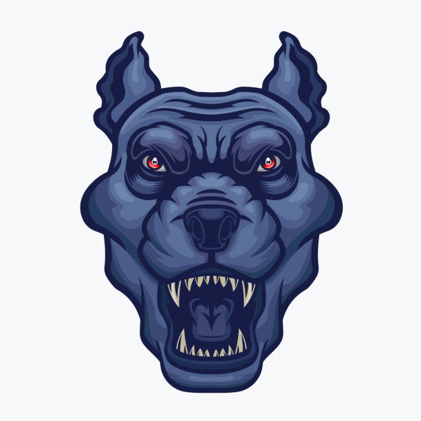 Angry pitbull head. Vector illustration for use as print, poster, sticker, logo, tattoo, emblem and other. pit bull power stock illustrations