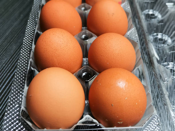 istock Close up photo of raw chicken eggs in plastic tray. 1426416270