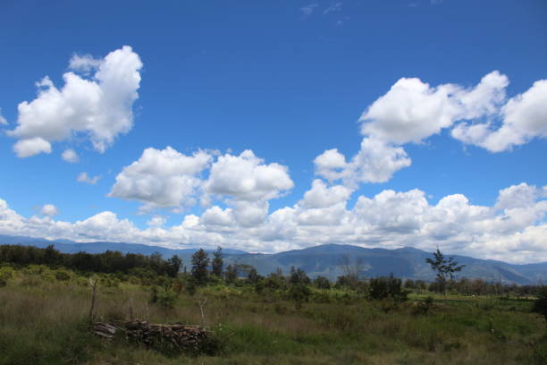 istock looks beautiful forest background and mountain sky in Papua's Tolikara district 1426417878