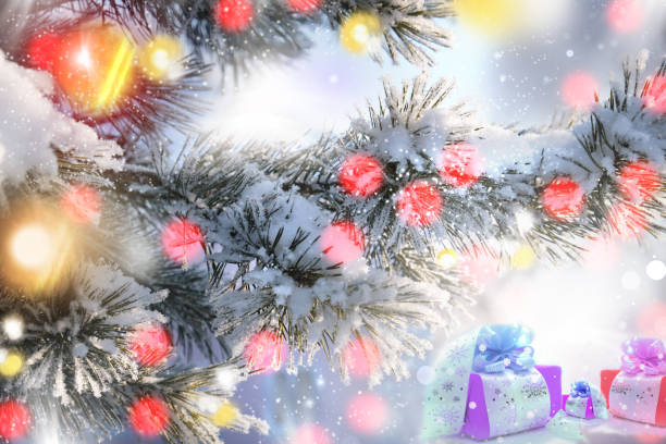 presents or gift boxes and christmas tree branches with golden bokeh lights with snowflakes pattern. holiday greeting card. new year and christmas atmospheric mood - fog tree purple winter imagens e fotografias de stock