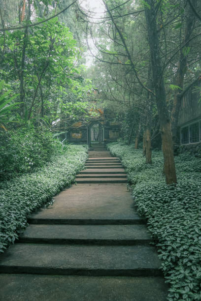 istock Road to Ancient Building in Foggy Forest 1426434424