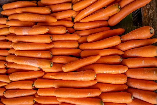 Large group of carrots