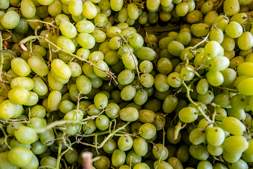 white grapes in a market bunch