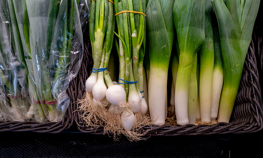 Leeks and onions in a row.
