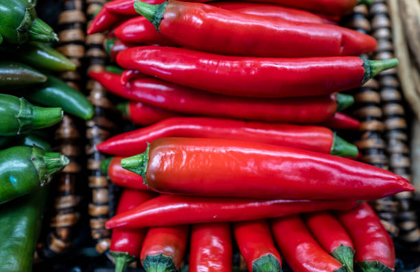 Group of chillies laid out for use.