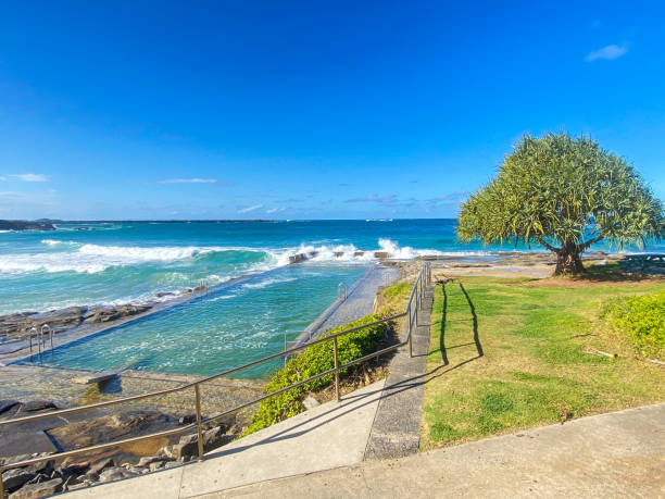 hermosa piscina oceánica durante la marea alta.  olas rompiendo sobre las rocas al final.  árbol de pandanus a la derecha.  la piscina está en main beach, yamba, nueva gales del sur, australia - yamba fotografías e imágenes de stock