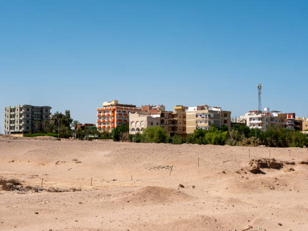 view of the houses of local residents surrounded by desert and palm trees against the backdrop of a blue sky. copy space. safaga, egypt - safaga imagens e fotografias de stock