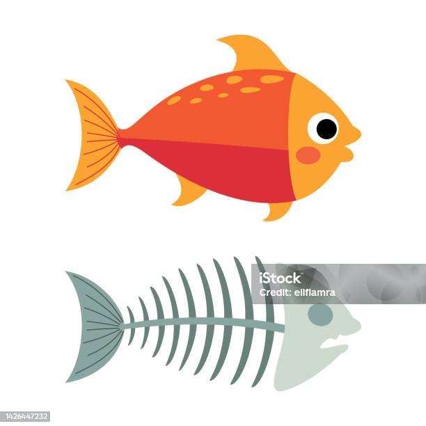 Fishbone Cartoon Red Cartoon Drawing Of A Fish Bone Stock Illustration - Download Image Now ...