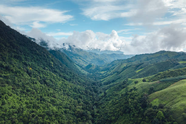 istock Green mountain valley nan thailand,green mountain fields with blue sky 1426457573