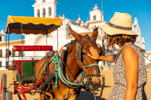 a tourist caressing horses in the el rocio sanctuary at the rocio festival, huelva. andalusia - seville water spain european culture imagens e fotografias de stock