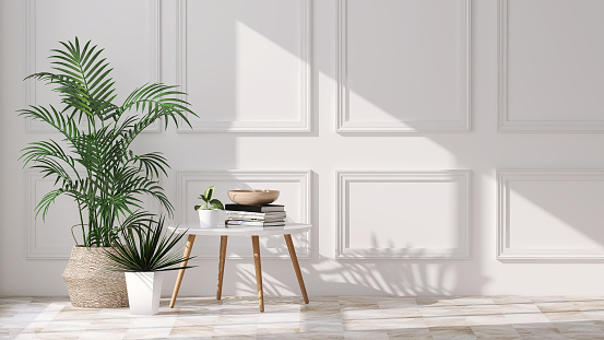 Variety of green tropical succulent house plants and trees in white modern design pots in for decoration luxury modern classic white wall room on marble tile floor with sunlight from window